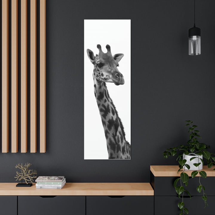 Giraffe Portrait in Black and White  - Canvas