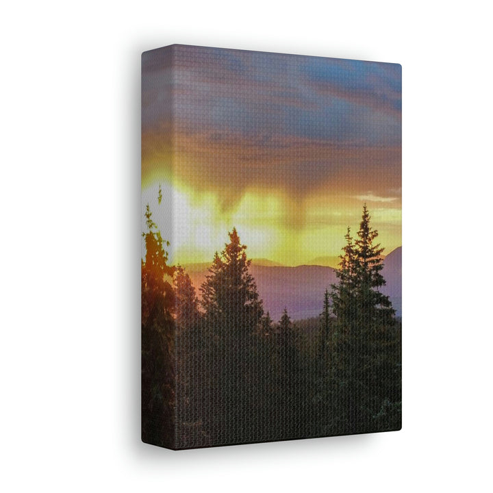 Rainy Sunset Through the Trees - Canvas