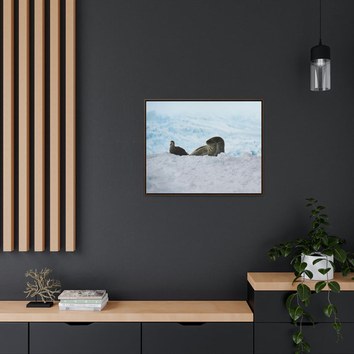 A Resting Pair - Canvas with Frame