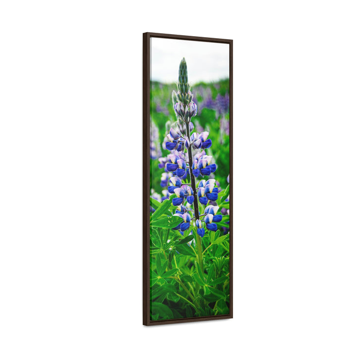 Glowing Lupin - Canvas with Frame