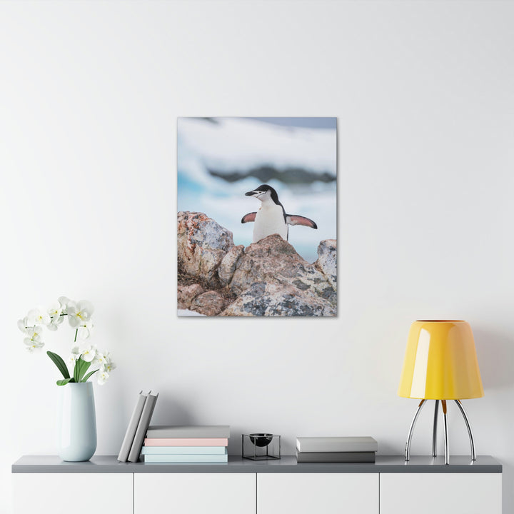 Stretched Penguin - Canvas