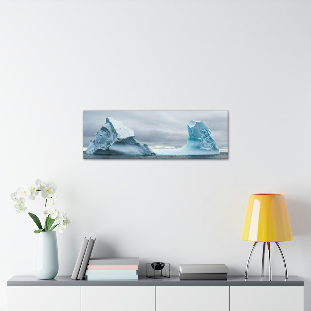 Antarctic Flight - Canvas