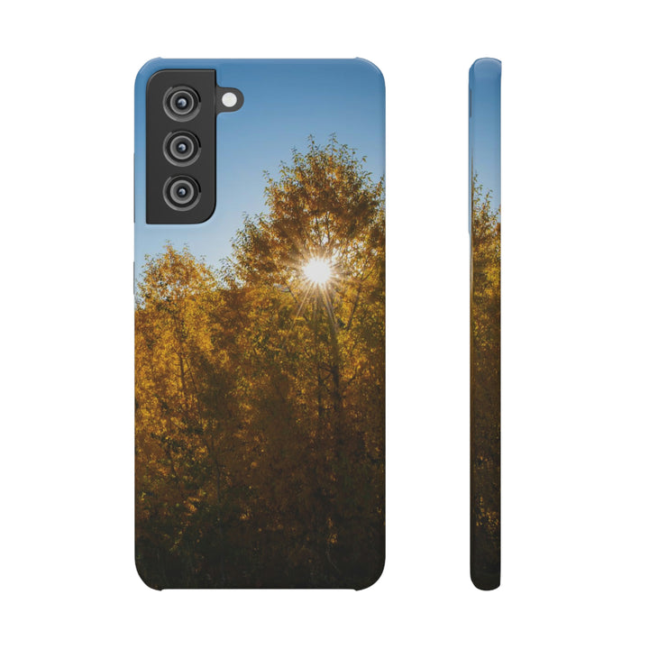 Sun Through the Aspens - Phone Case