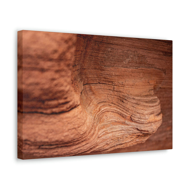 Sedimentary Rock Curves - Canvas