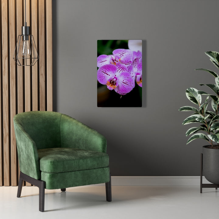 Orchid in Pink - Canvas