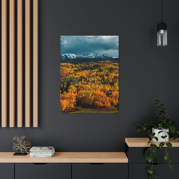 Golds of Autumn - Canvas