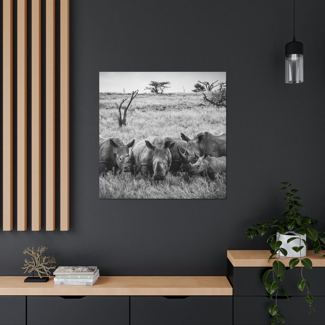 Rhino Family in Black and White - Canvas