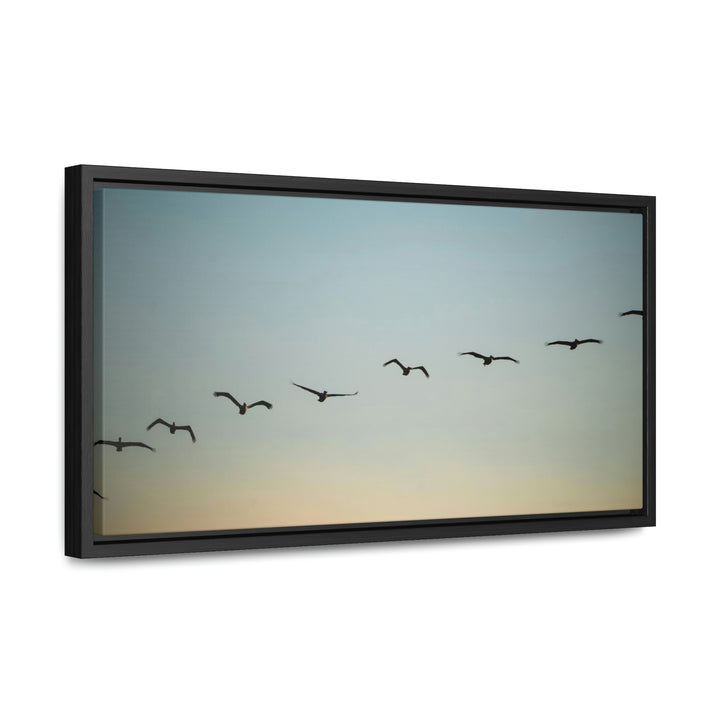 Brown Pelicans in Flight - Canvas with Frame