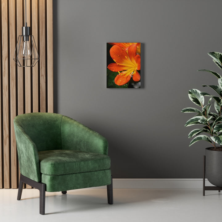 Bright Bush Lily - Canvas