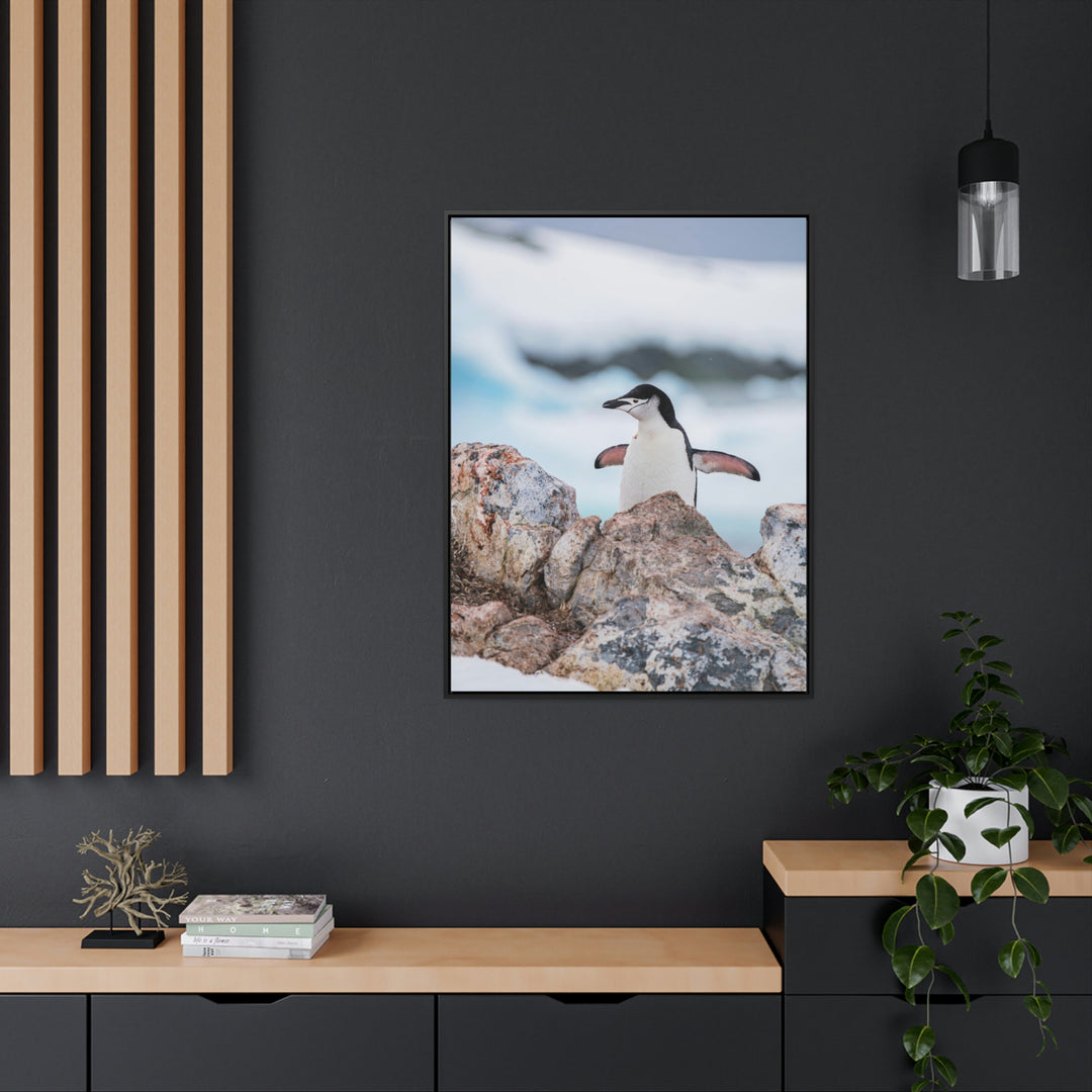 Stretched Penguin - Canvas with Frame