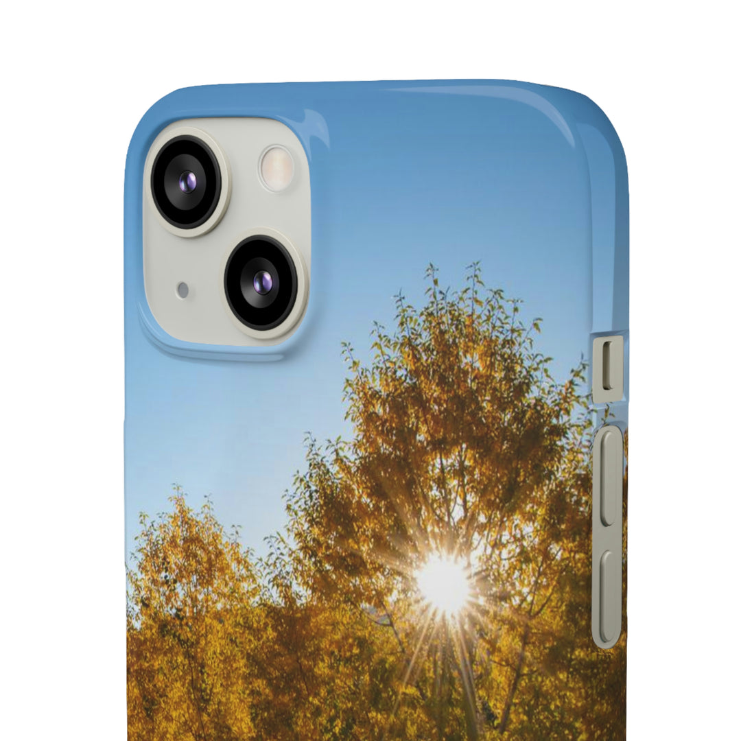 Sun Through the Aspens - Phone Case