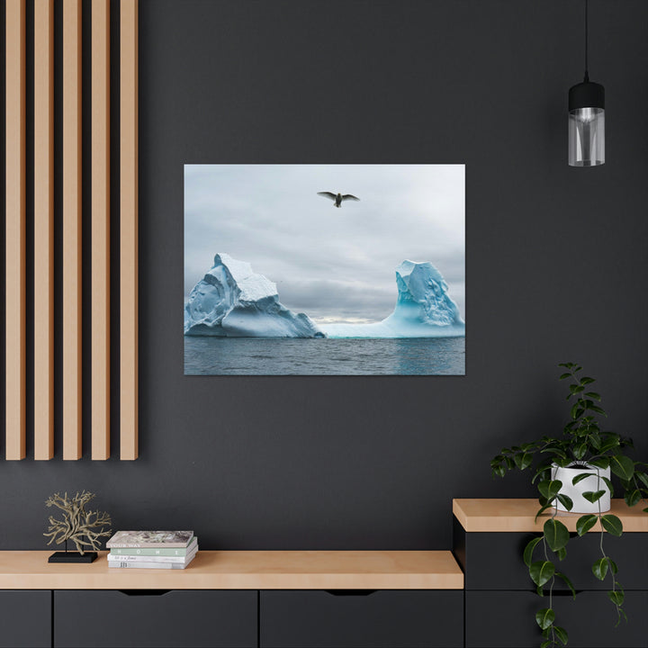 Antarctic Flight - Canvas