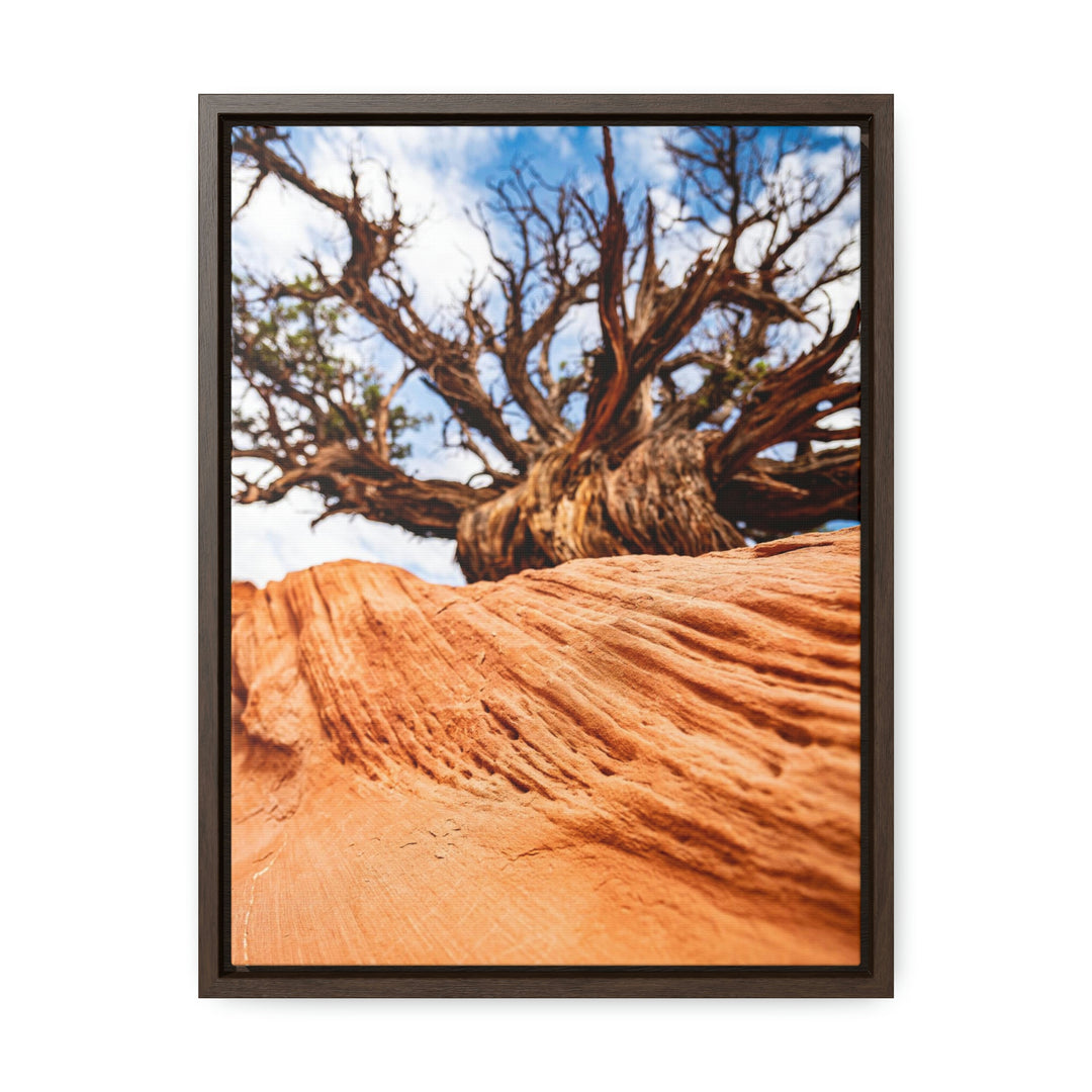 Desert Reach - Canvas with Frame