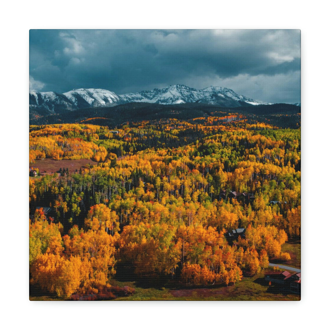 Golds of Autumn - Canvas