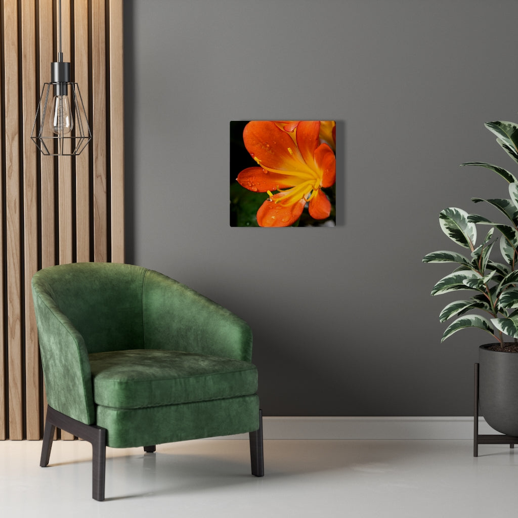 Bright Bush Lily - Canvas