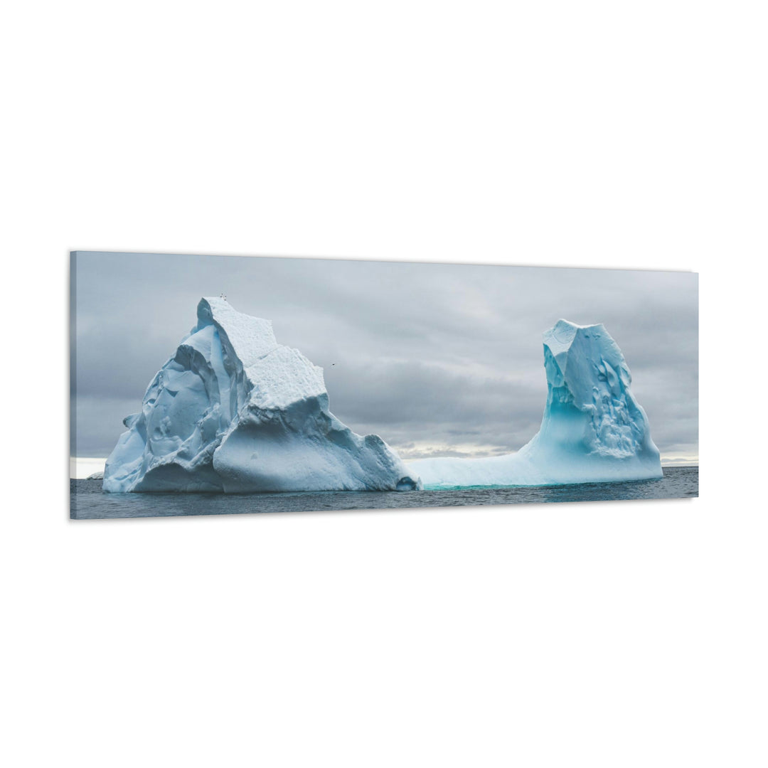 Antarctic Flight - Canvas