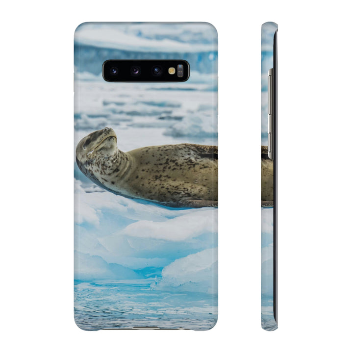 Leopard Seal Relaxing - Phone Case