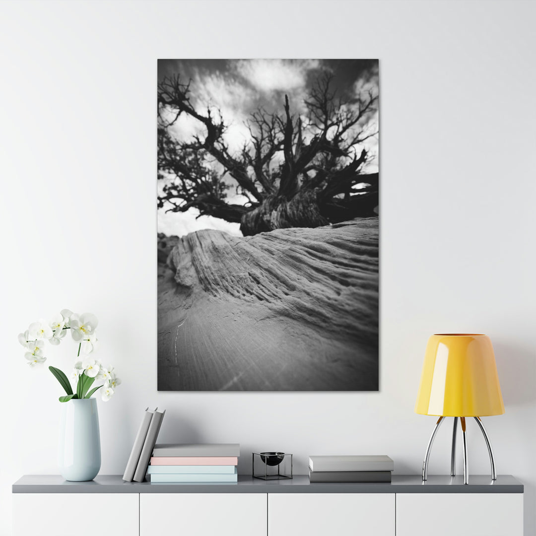 Desert Reach in Black and White - Canvas