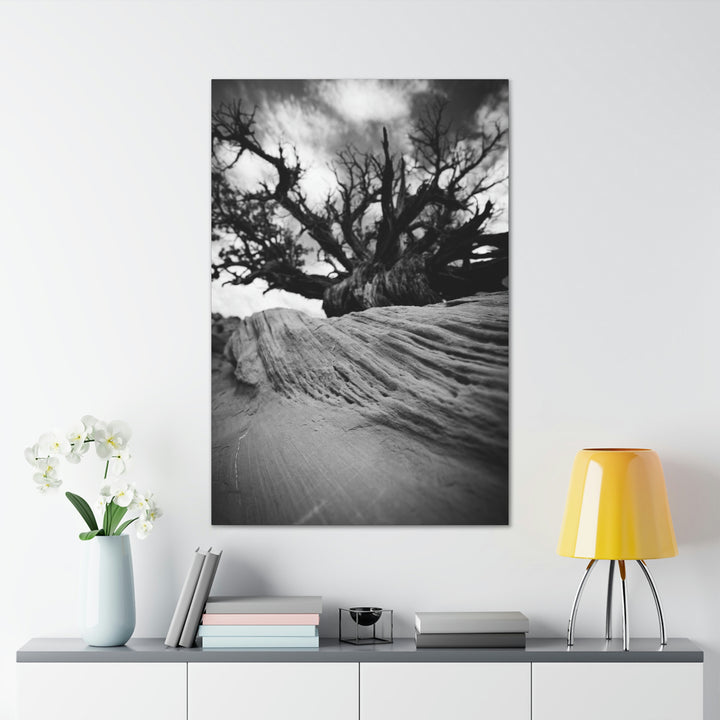 Desert Reach in Black and White - Canvas