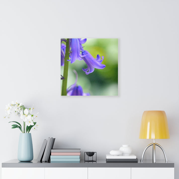 Delicate Bell - Canvas