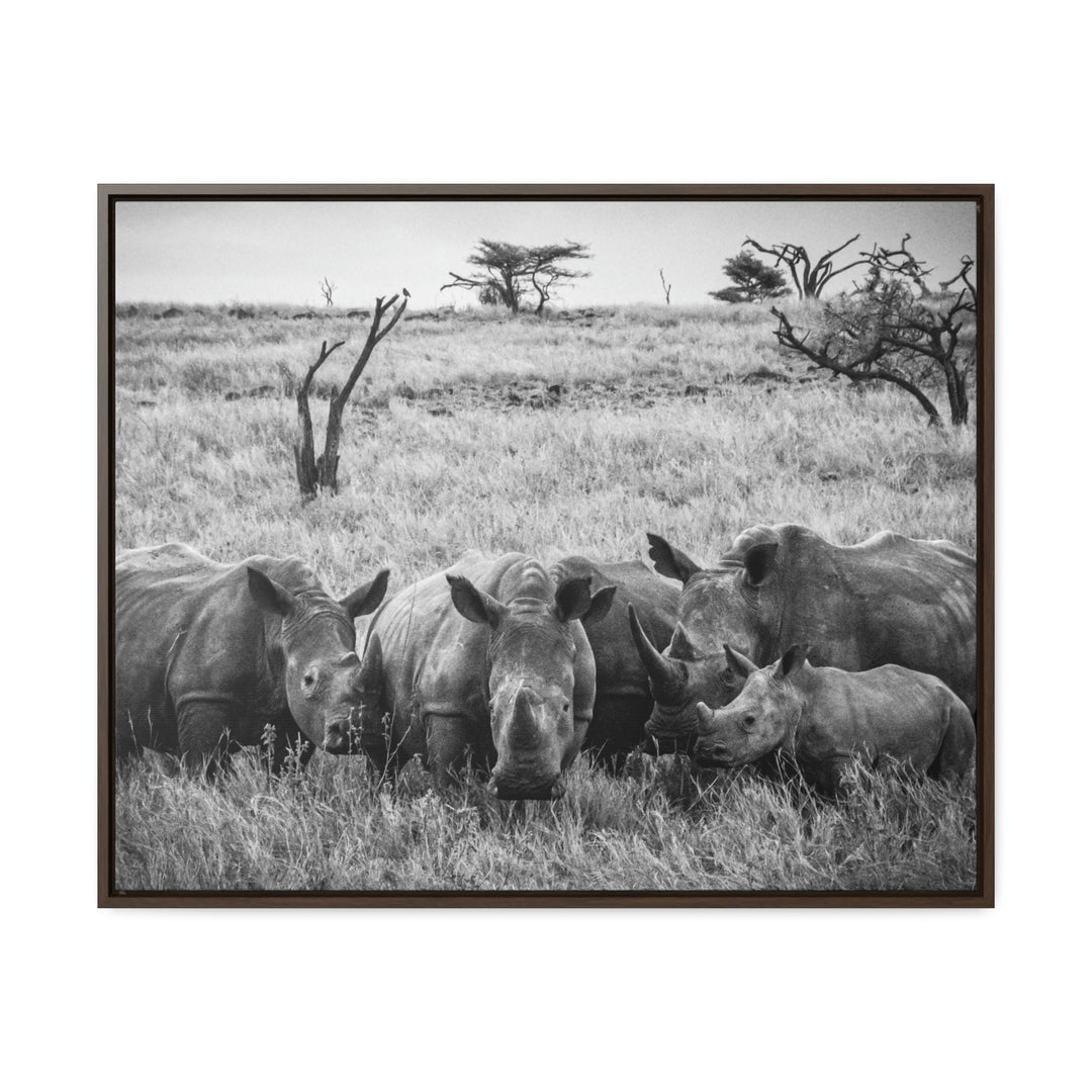 Rhino Family in Black and White - Canvas with Frame