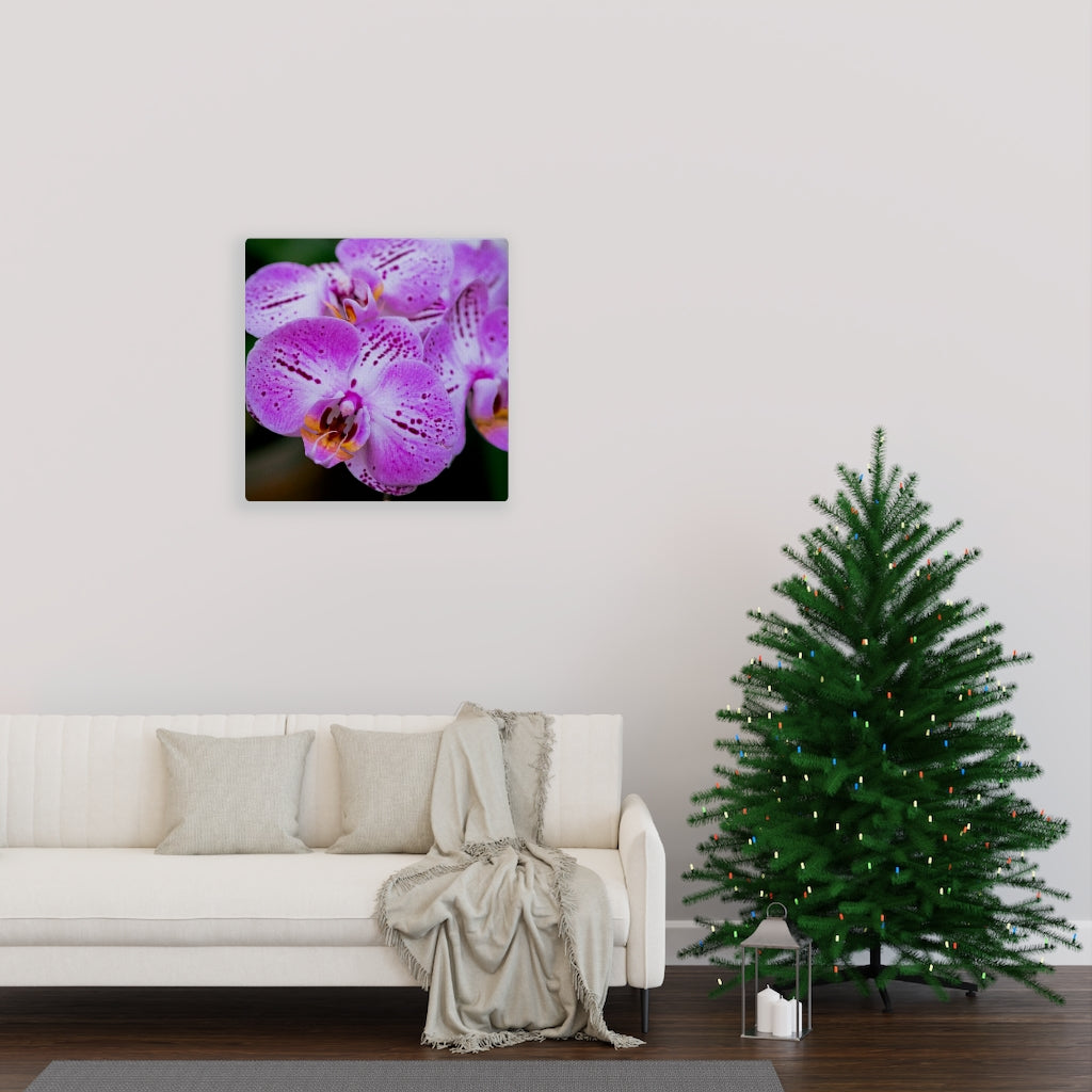 Orchid in Pink - Canvas