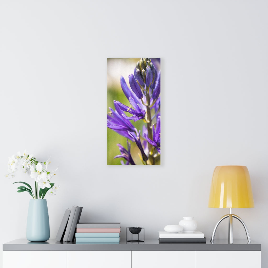 Camas in Bloom - Canvas