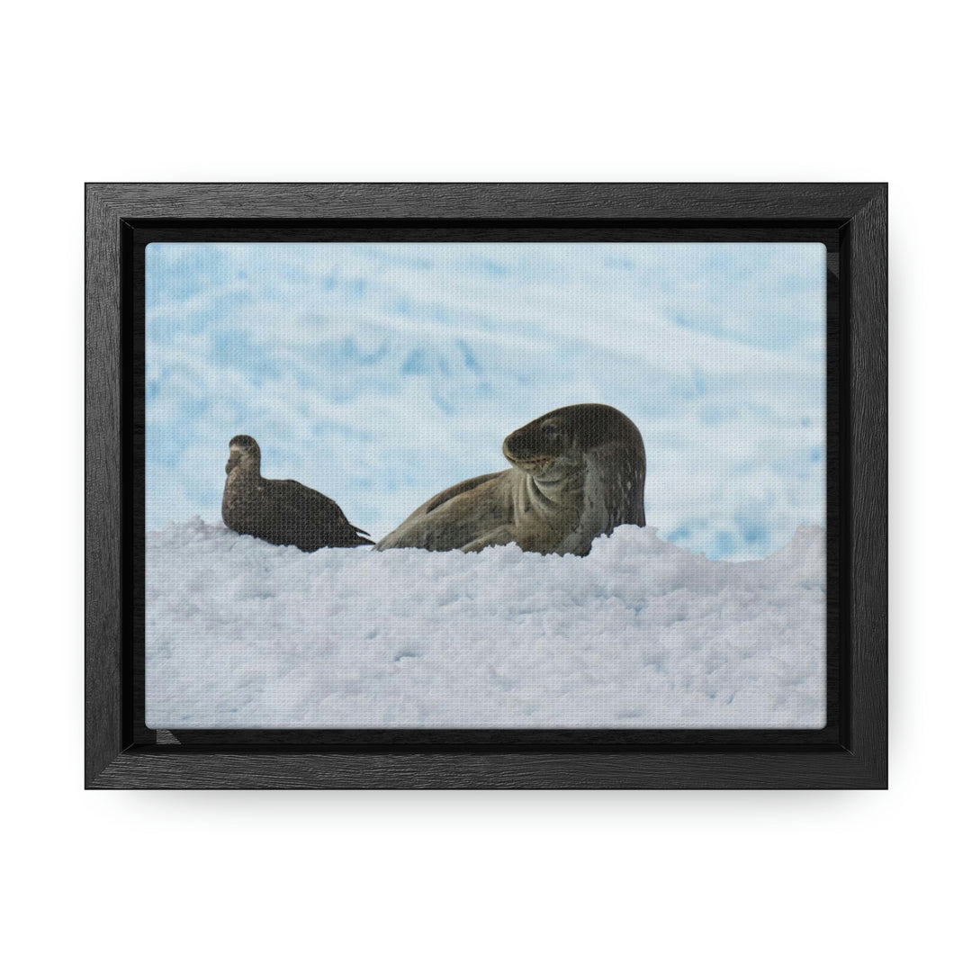 A Resting Pair - Canvas with Frame