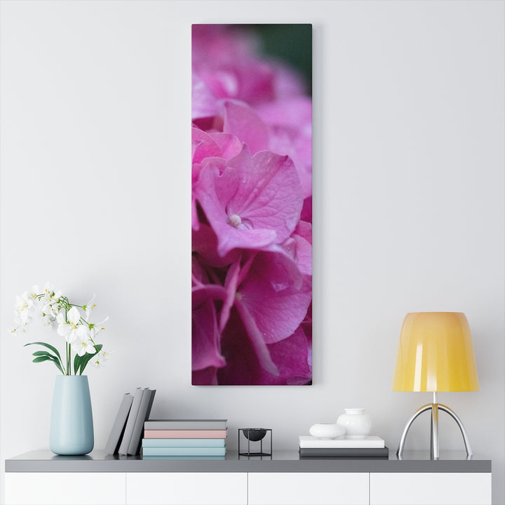 Pink Hydrangea Detail - Canvas