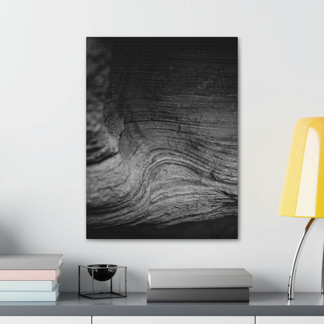 Sedimentary Rock Curves in Black and White - Canvas