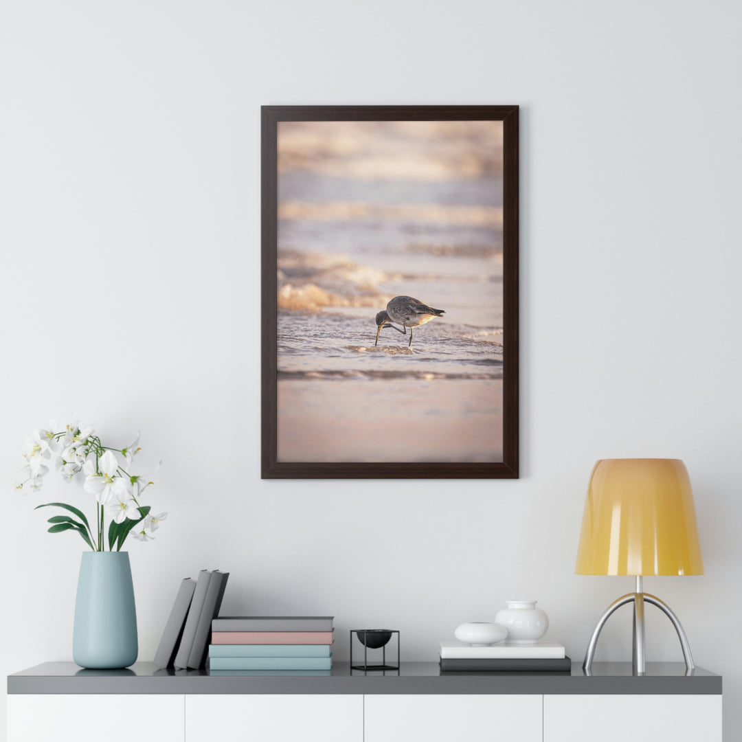 Willet Itch - Framed Print