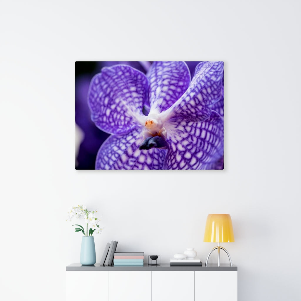 Orchid Detail - Canvas