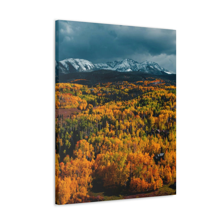 Golds of Autumn - Canvas