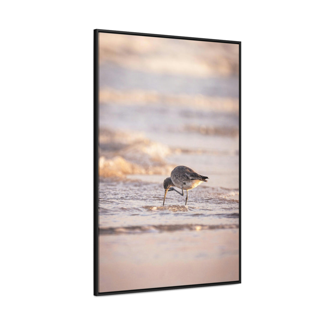 Willet Itch - Canvas with Frame