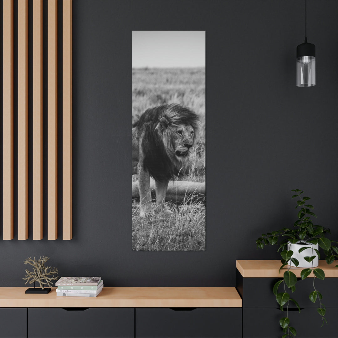 Mating Lions in Black and White - Canvas