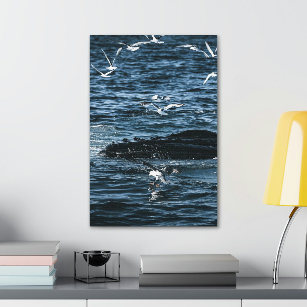 Humpback Hello - Canvas