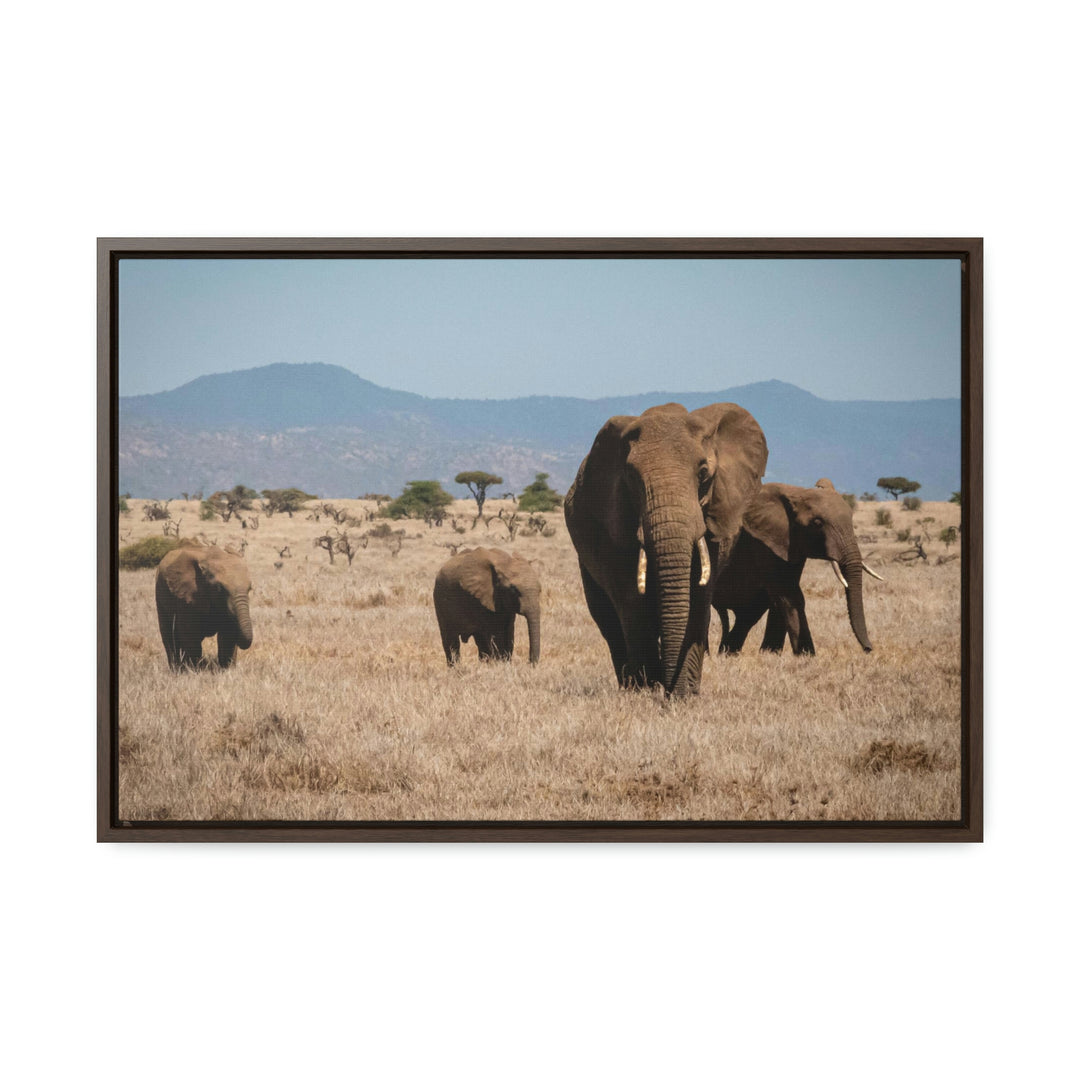 Family March - Canvas With Frame