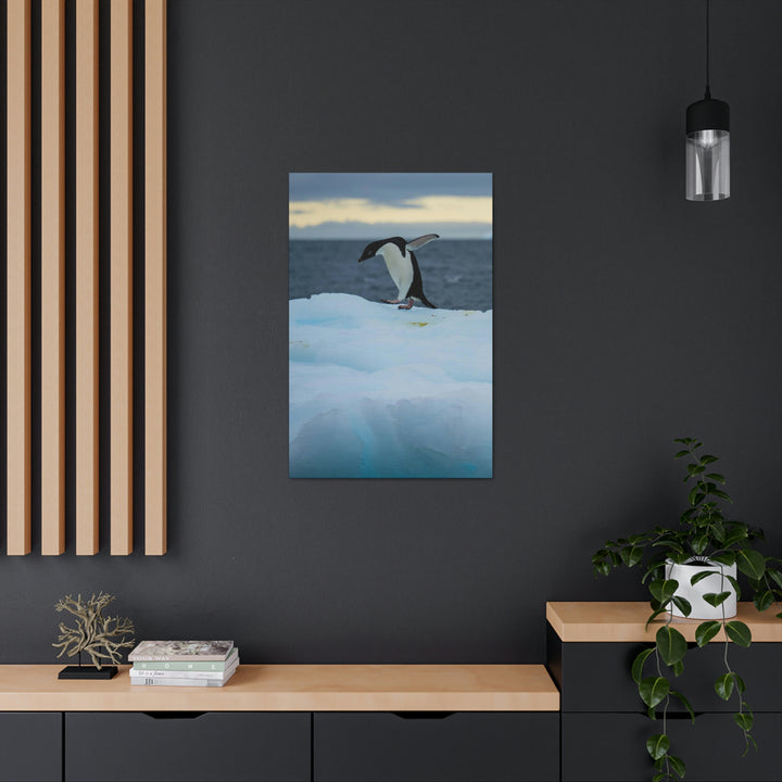 Penguin Dance - Canvas