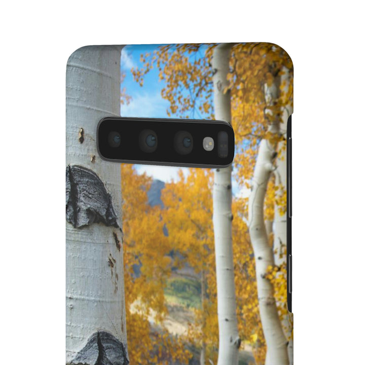 Aspens Changing - Phone Case