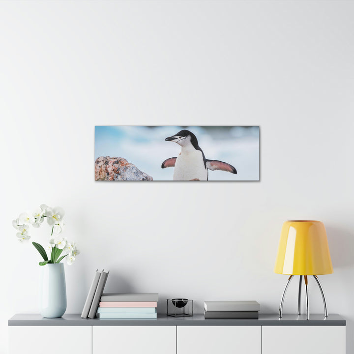 Stretched Penguin - Canvas