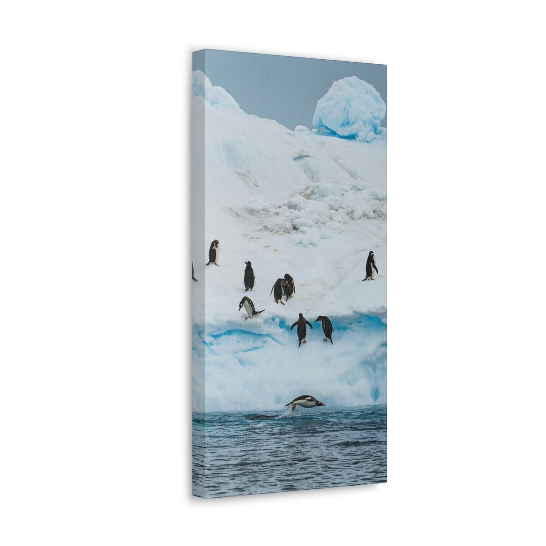 Porpoising Penguin - Canvas