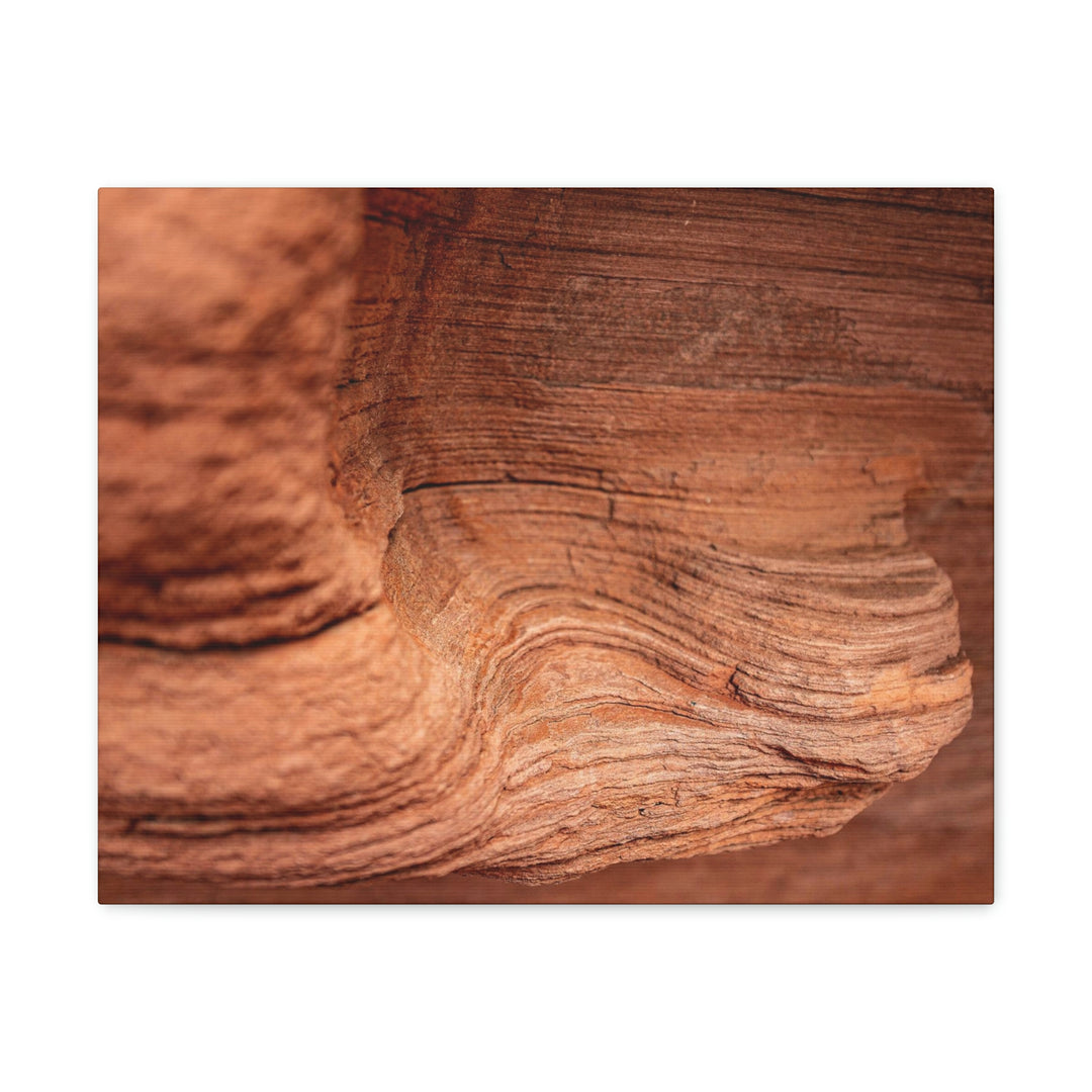 Sedimentary Rock Curves - Canvas