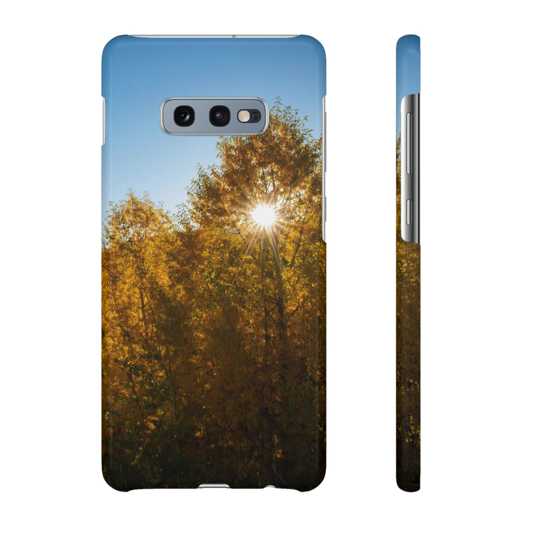 Sun Through the Aspens - Phone Case