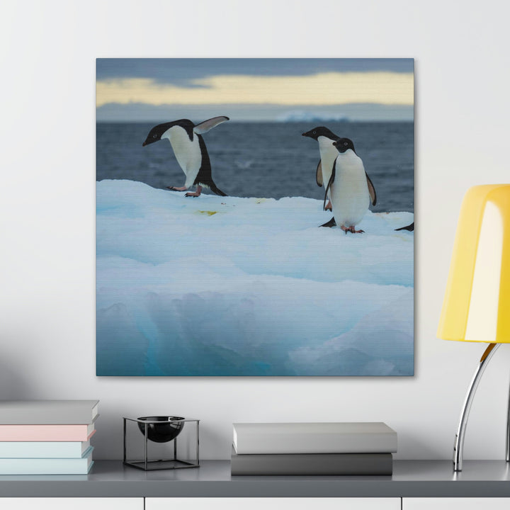 Penguin Dance - Canvas