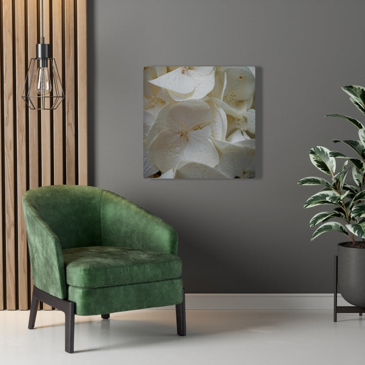 White Hydrangea Detail - Canvas