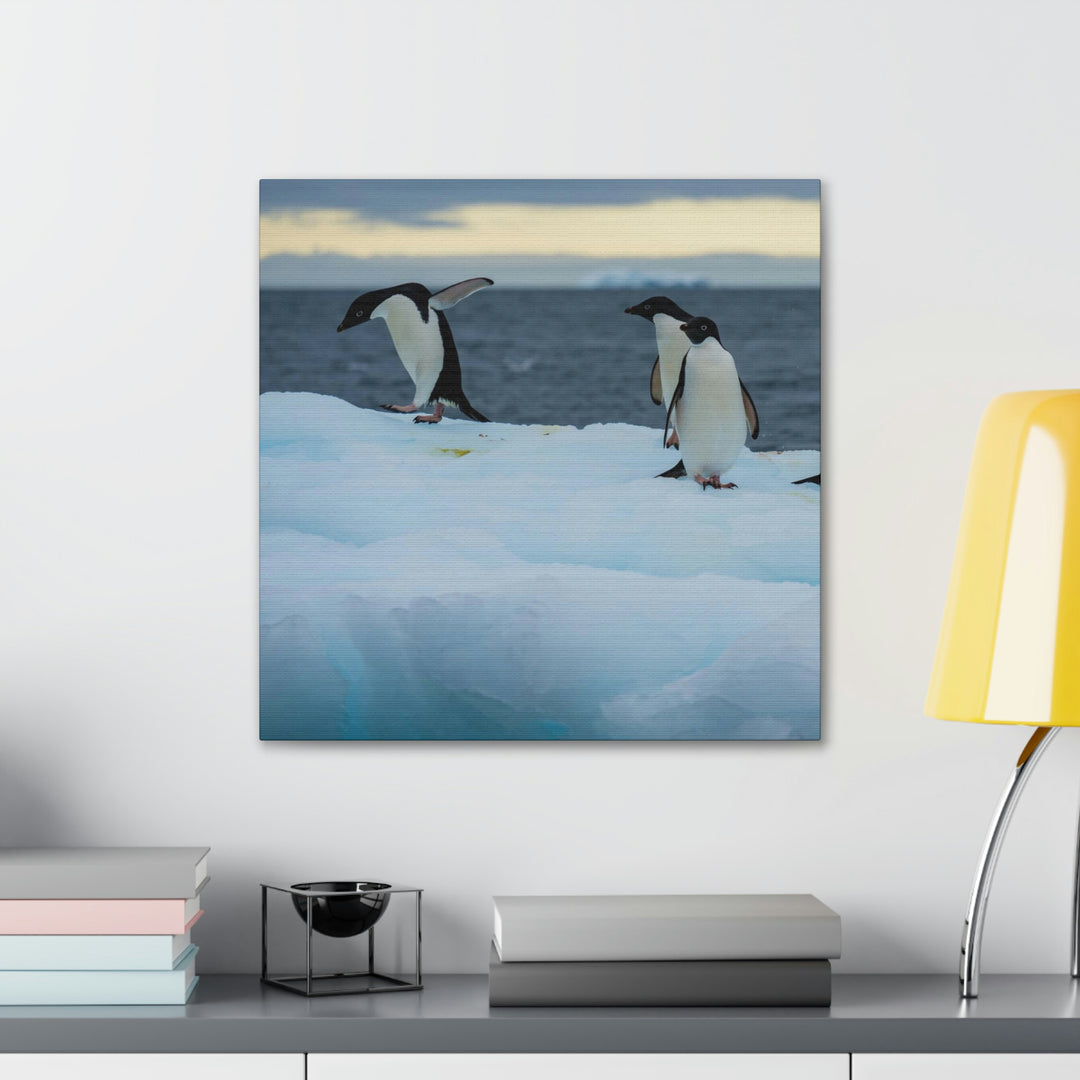 Penguin Dance - Canvas