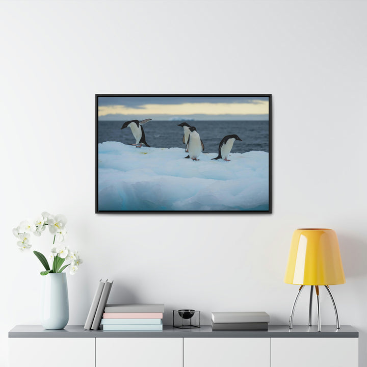 Penguin Dance - Canvas with Frame