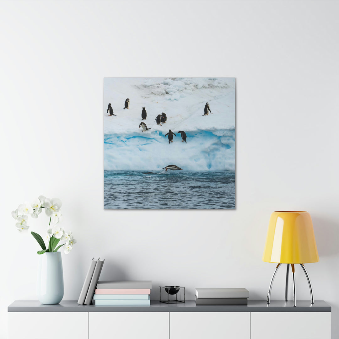 Porpoising Penguin - Canvas