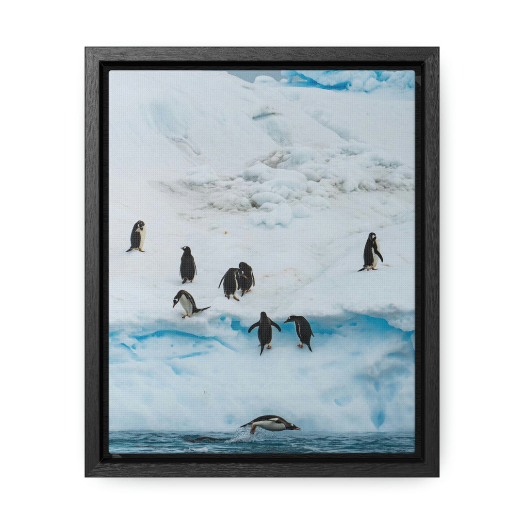 Porpoising Penguin - Canvas with Frame