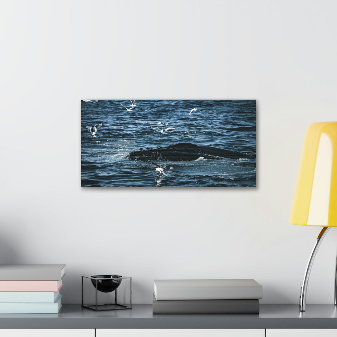 Humpback Hello - Canvas